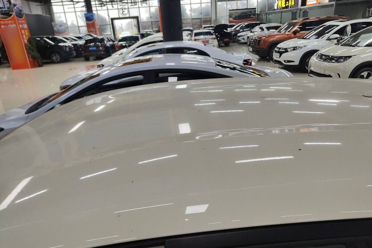 Used BYD Dolphin 2025 420km Free Edition Roof