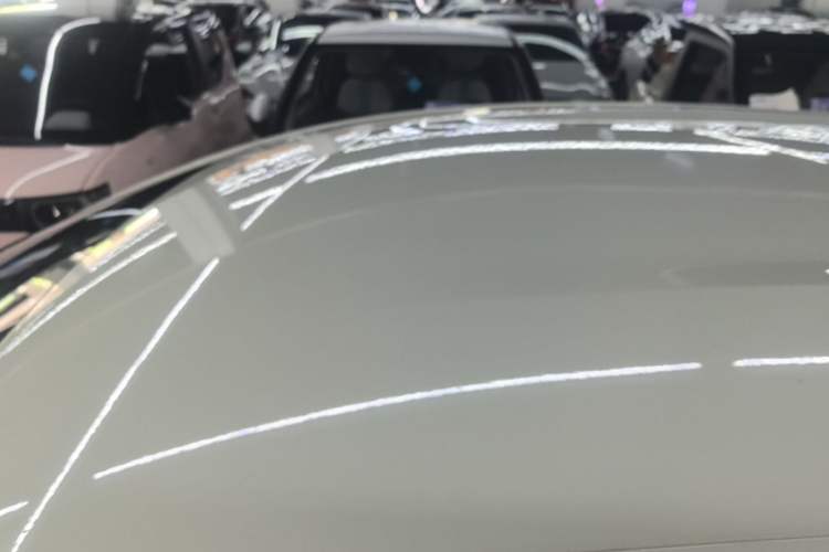 Used BYD Dolphin 2025 420km Free Edition Roof