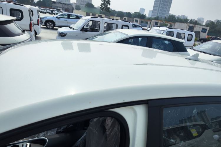 Used BYD Dolphin 2025 420km Free Edition Roof