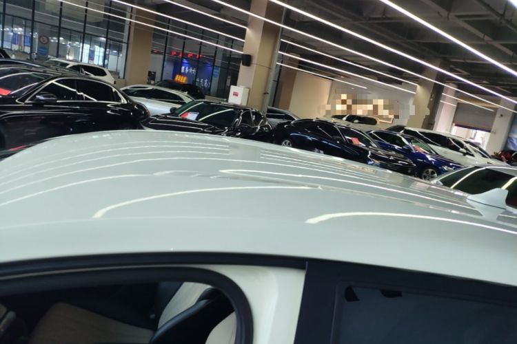 Used BYD Dolphin 2025 420km Free Edition Roof