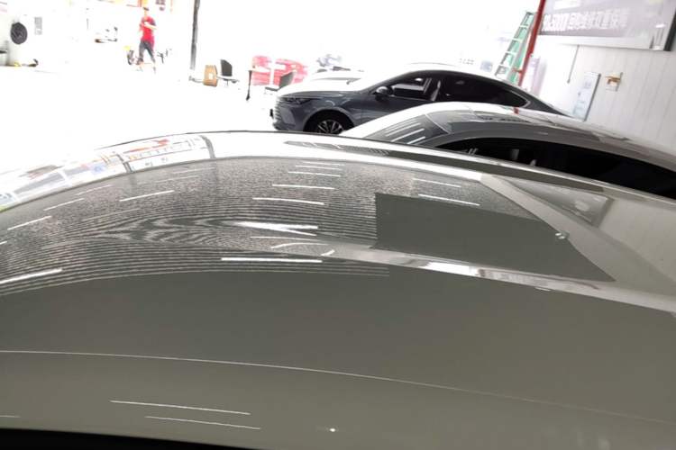 Used BYD Dolphin 2025 420km Free Edition Roof