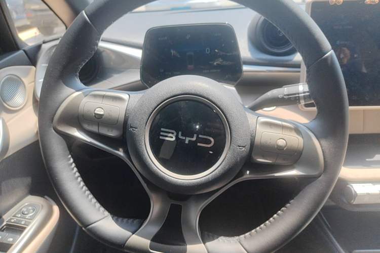 Used BYD Dolphin 2025 420km Free Edition Steering Wheel