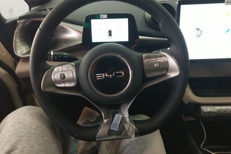Used BYD Dolphin 2025 420km Free Edition Steering Wheel