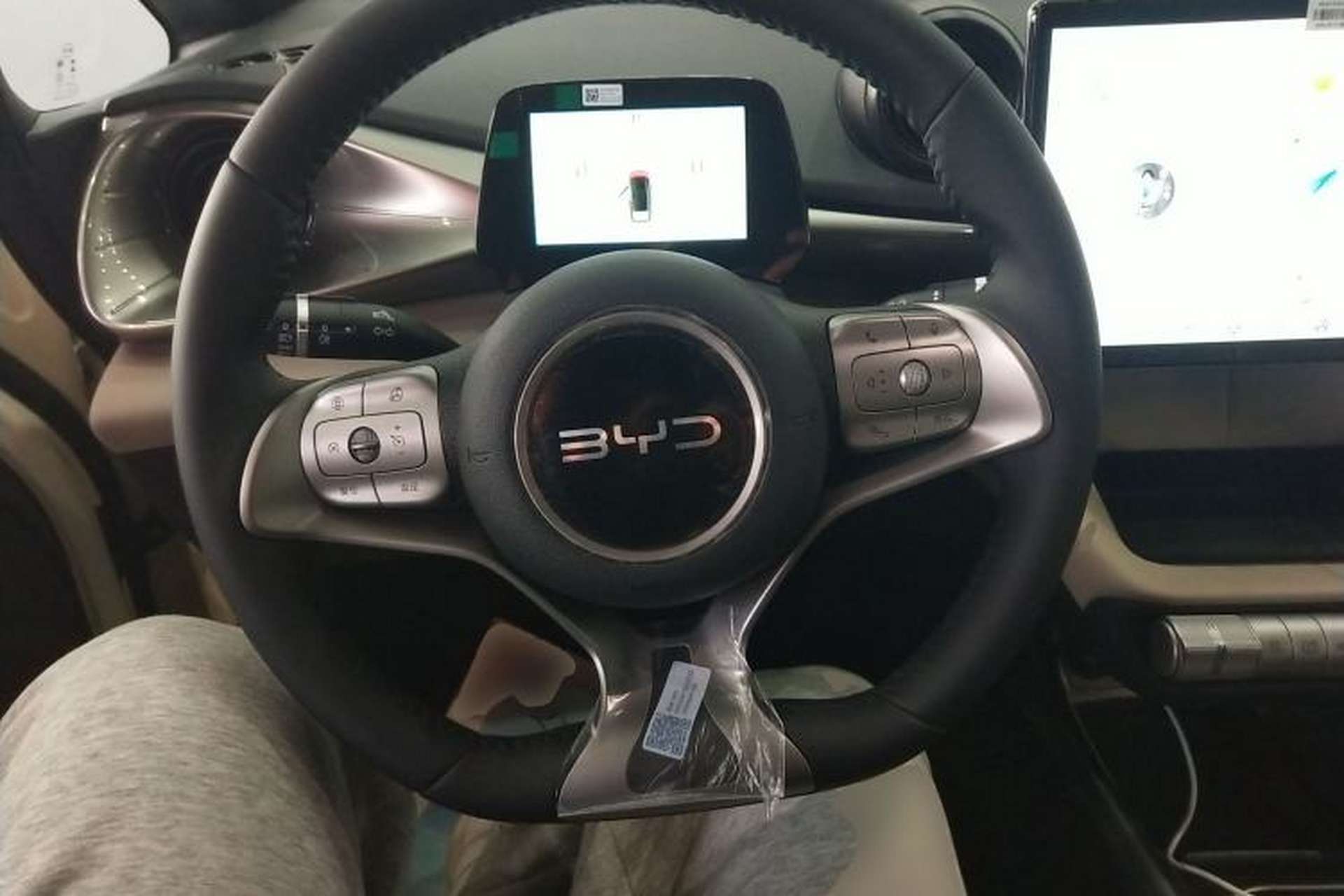 Used BYD Dolphin 2025 420km Free Edition Steering Wheel