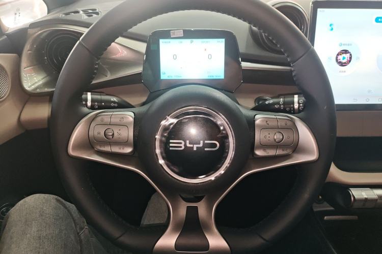 Used BYD Dolphin 2025 420km Free Edition Steering Wheel
