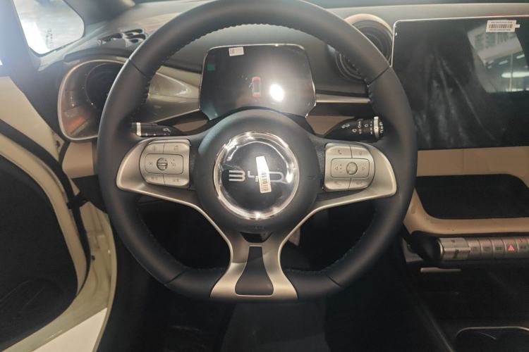 Used BYD Dolphin 2025 420km Free Edition Steering Wheel