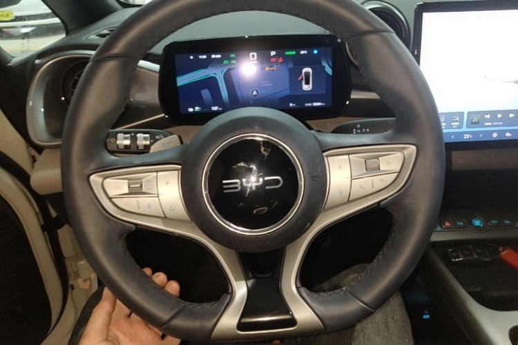Used BYD Dolphin 2025 Smart Drive Version 420 km Freedom Edition Steering Wheel