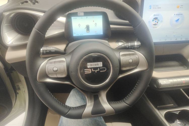 Used BYD Dolphin 2025 420km Free Edition Steering Wheel
