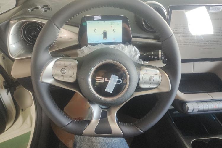 Used BYD Dolphin 2025 420km Free Edition Steering Wheel