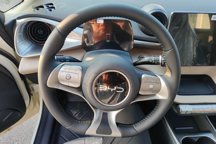Used BYD Dolphin 2025 420km Free Edition Steering Wheel