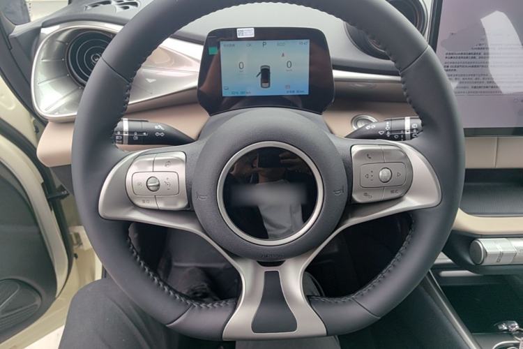 Used BYD Dolphin 2025 420km Free Edition Steering Wheel