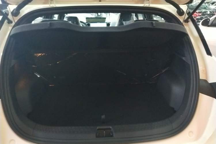 Used BYD Dolphin 2025 420km Free Edition Trunk