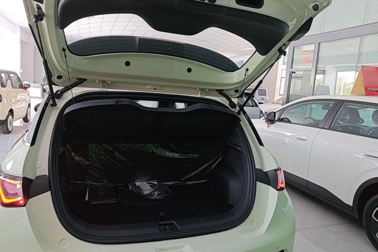 Used BYD Dolphin 2025 420km Free Edition Trunk