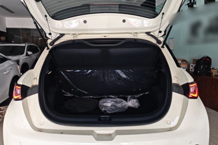 Used BYD Dolphin 2025 420km Free Edition Trunk