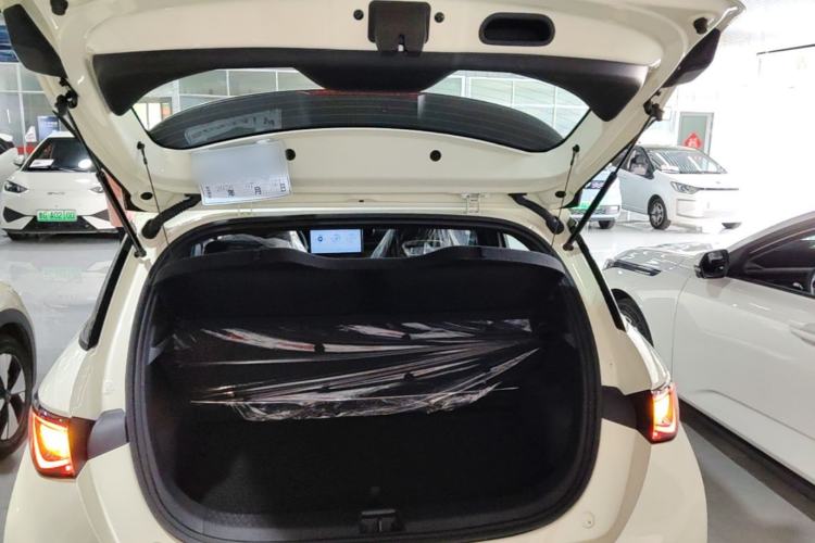 Used BYD Dolphin 2025 420km Free Edition Trunk