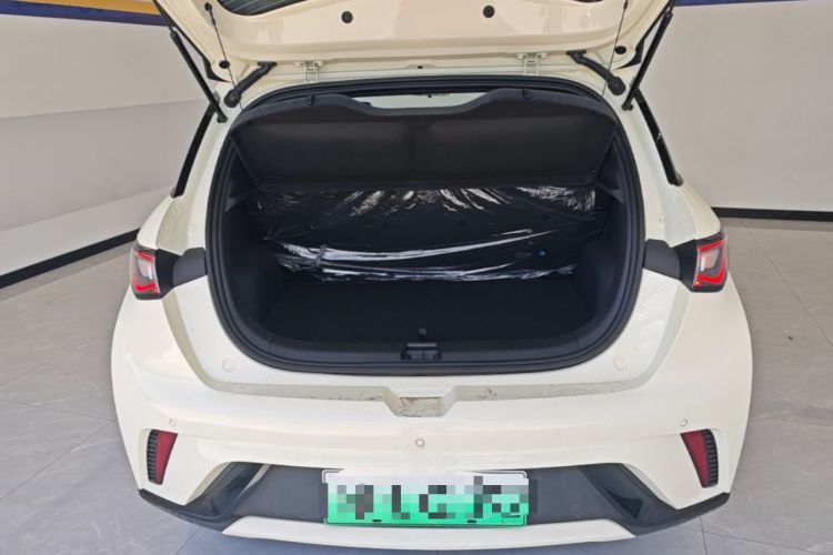Used BYD Dolphin 2025 420km Free Edition Trunk