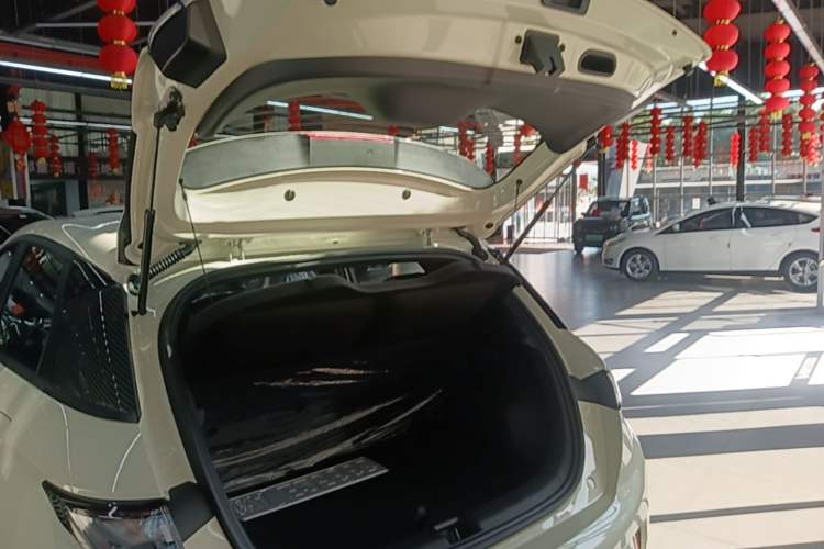 Used BYD Dolphin 2025 420km Free Edition Trunk