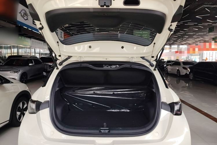 Used BYD Dolphin 2025 420km Free Edition Trunk
