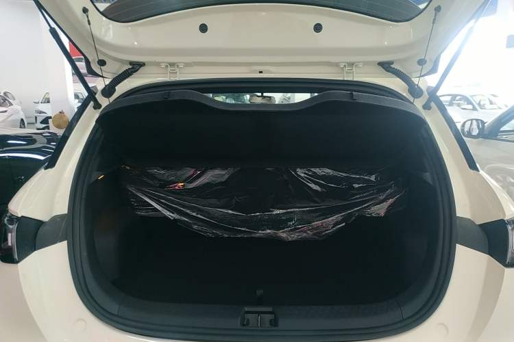 Used BYD Dolphin 2025 420km Free Edition Trunk