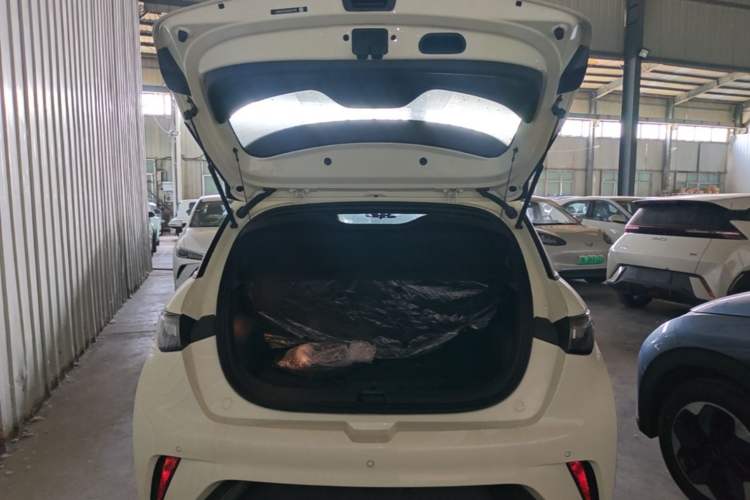 Used BYD Dolphin 2025 420km Free Edition Trunk