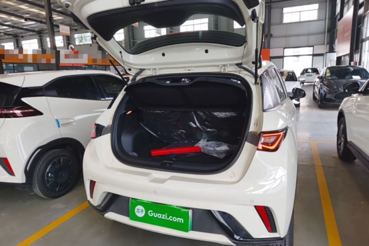 Used BYD Dolphin 2025 420km Free Edition Trunk