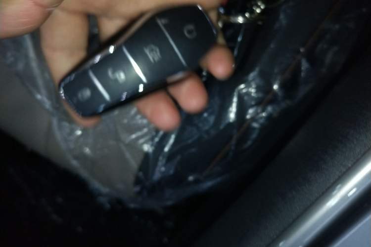 Used BYD Dolphin 2025 420km Free Edition Vehicle Key