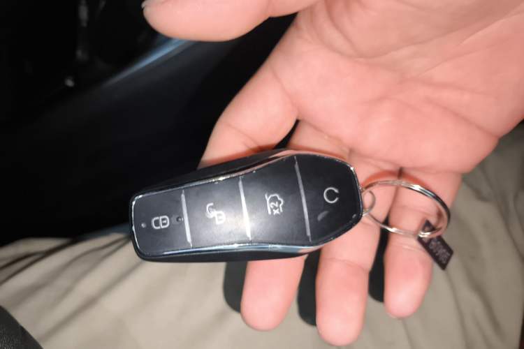 Used BYD Dolphin 2025 420km Active Version Vehicle Key