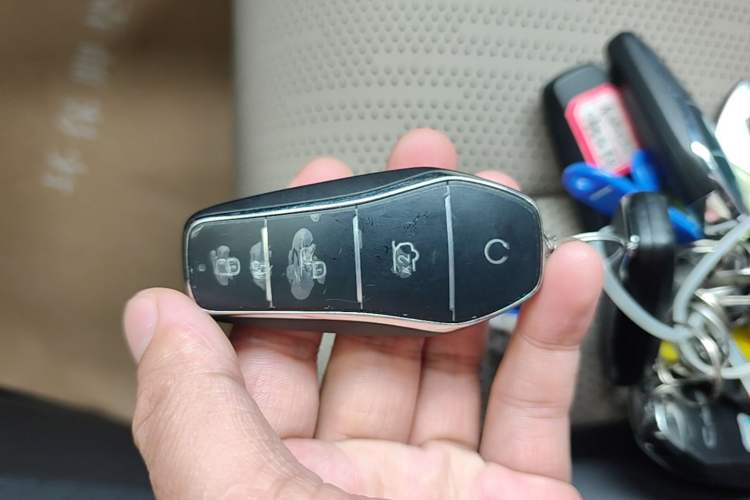 Used BYD Dolphin 2025 Intelligent Driving Version 410 km Fashion Edition Vehicle Key