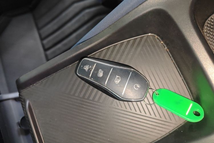 Used BYD Dolphin 2025 420km Free Edition Vehicle Key