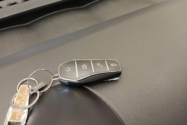 Used BYD Dolphin 2025 420km Free Edition Vehicle Key