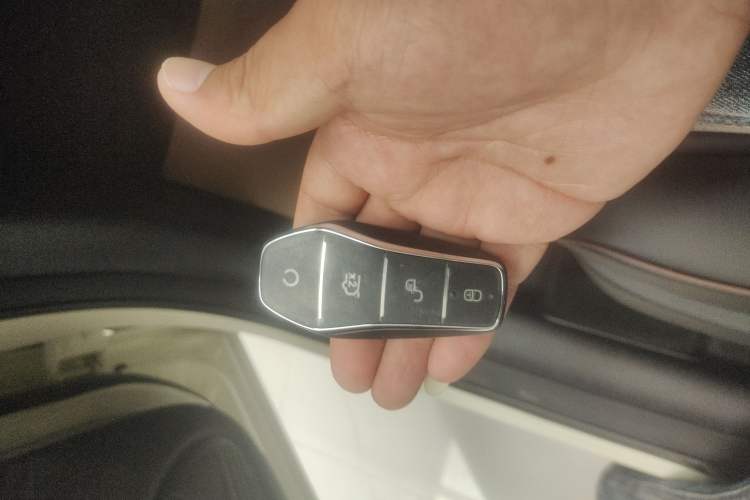 Used BYD Dolphin 2025 420km Free Edition Vehicle Key