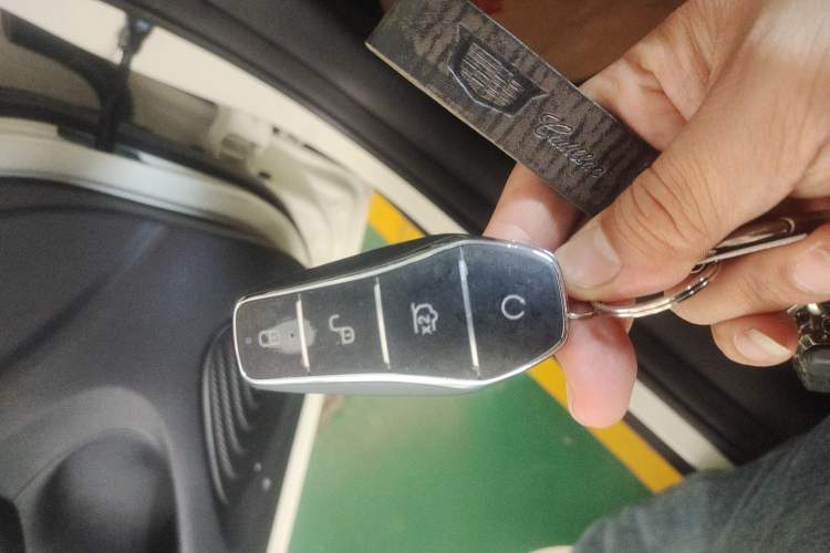 Used BYD Dolphin 2025 420km Free Edition Vehicle Key