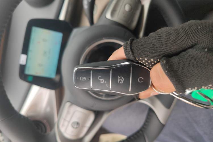 Used BYD Dolphin 2025 420km Free Edition Vehicle Key