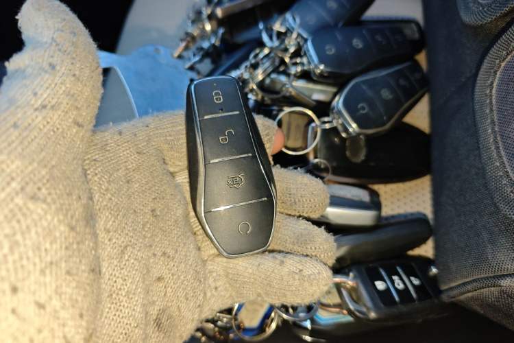 Used BYD Dolphin 2025 Intelligent Driving Version 410 km Fashion Edition Vehicle Key