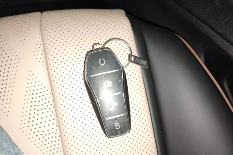 Used BYD Dolphin 2025 420km Free Edition Vehicle Key