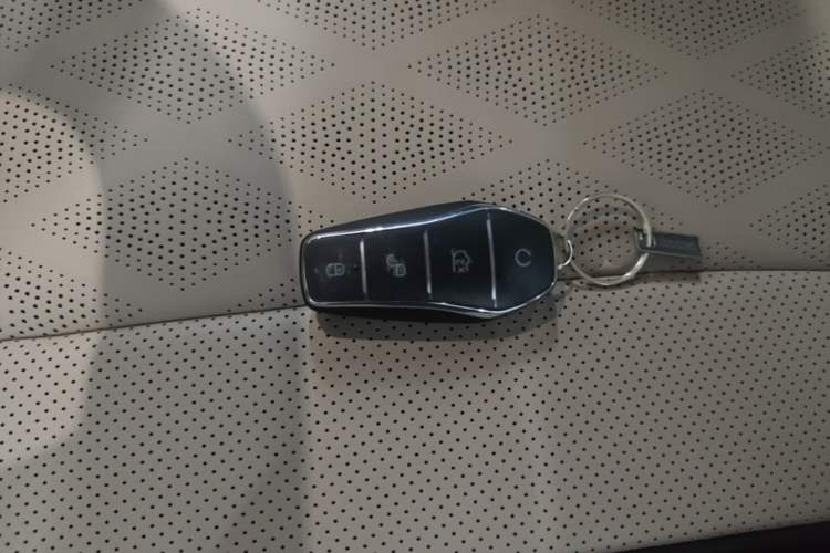 Used BYD Dolphin 2025 420km Free Edition Vehicle Key