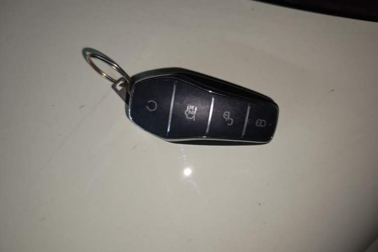 Used BYD Dolphin 2025 420km Free Edition Vehicle Key