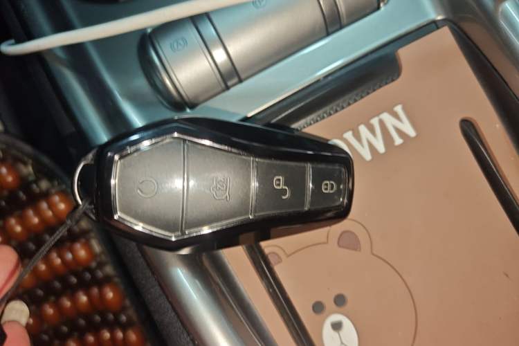 Used BYD Dolphin 2025 420km Fashion Edition Vehicle Key