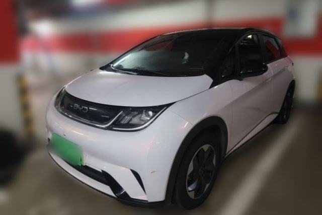 BYD Dolphin 2025 420km Fashion Edition usata