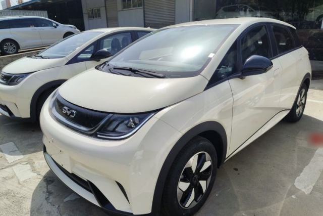 Used BYD Dolphin 2025 420km Free Edition
