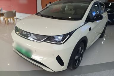 Used BYD Dolphin 2025 Intelligent Driving Version 410 km Fashion Edition