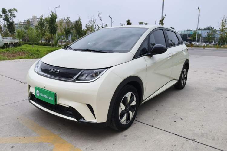 Used BYD Dolphin 2025 420km Free Edition Guazi used car, China used car export, Used car for sale, Used  cars, Cheapest cars for sale