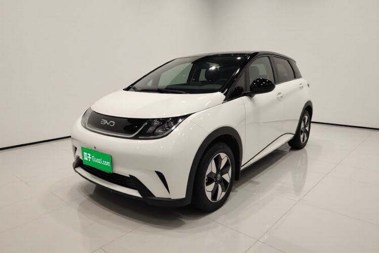 BYD Dolphin 2025 420km Free Edition
