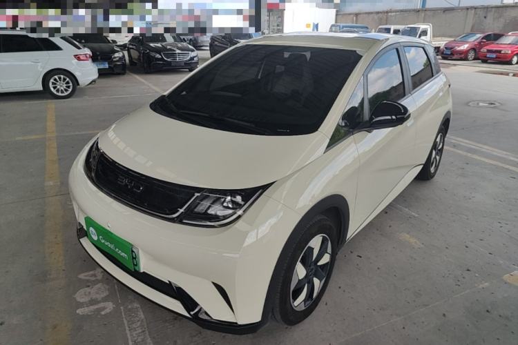 BYD Dolphin 2025 420km Free Edition