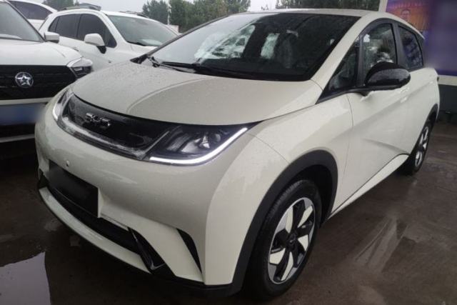 Used BYD Dolphin 2025 420km Free Edition