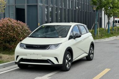 Used BYD Dolphin 2025 420km Free Edition