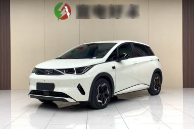 Used BYD Dolphin 2025 Smart Drive Version 420 km Freedom Edition