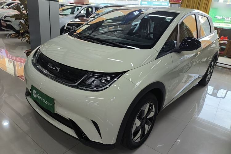 BYD Dolphin 2025 420km Free Edition