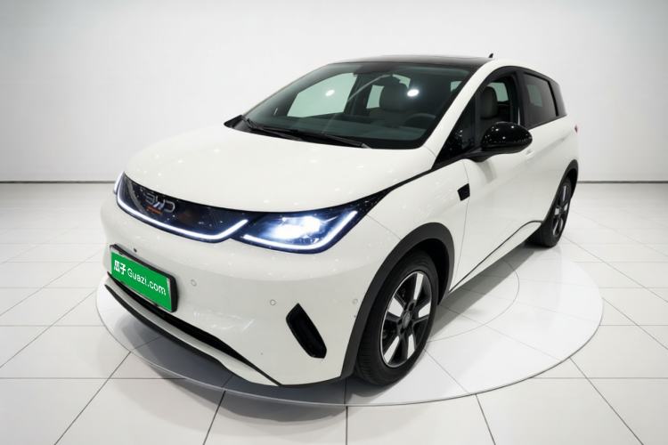 BYD Dolphin 2025 Intelligent Driving Version 410 km Fashion Edition