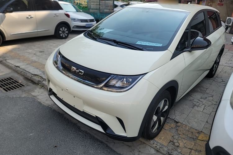 BYD Dolphin 2025 420km Free Edition